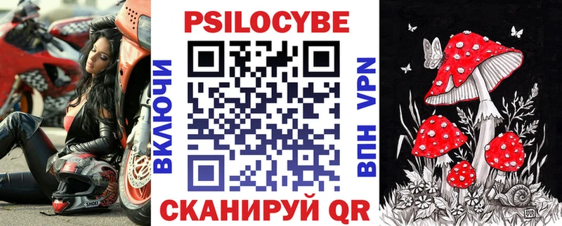 Галлюциногенные грибы Psilocybine cubensis  Щёлкино 